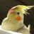 くるりるパル♪みらいのプロフィール画像