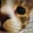 Pluto55のプロフィール画像