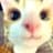 ぺろおじさんミミズ専門家のプロフィール画像